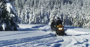 Snowmobiles